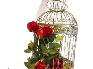 Hanging cage with roses