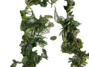 Rope Vine