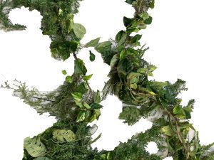 Rope Vine