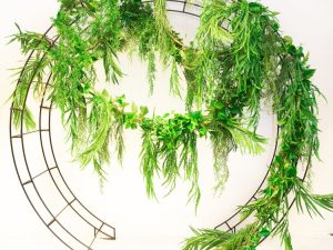 Lush green vines on rope