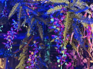 UV Plant 1