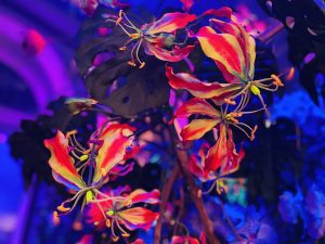 UV Plant 1