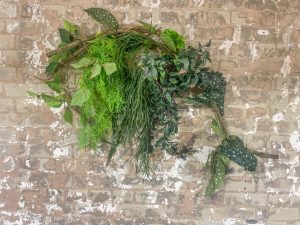 Trailing vines on monkey vines